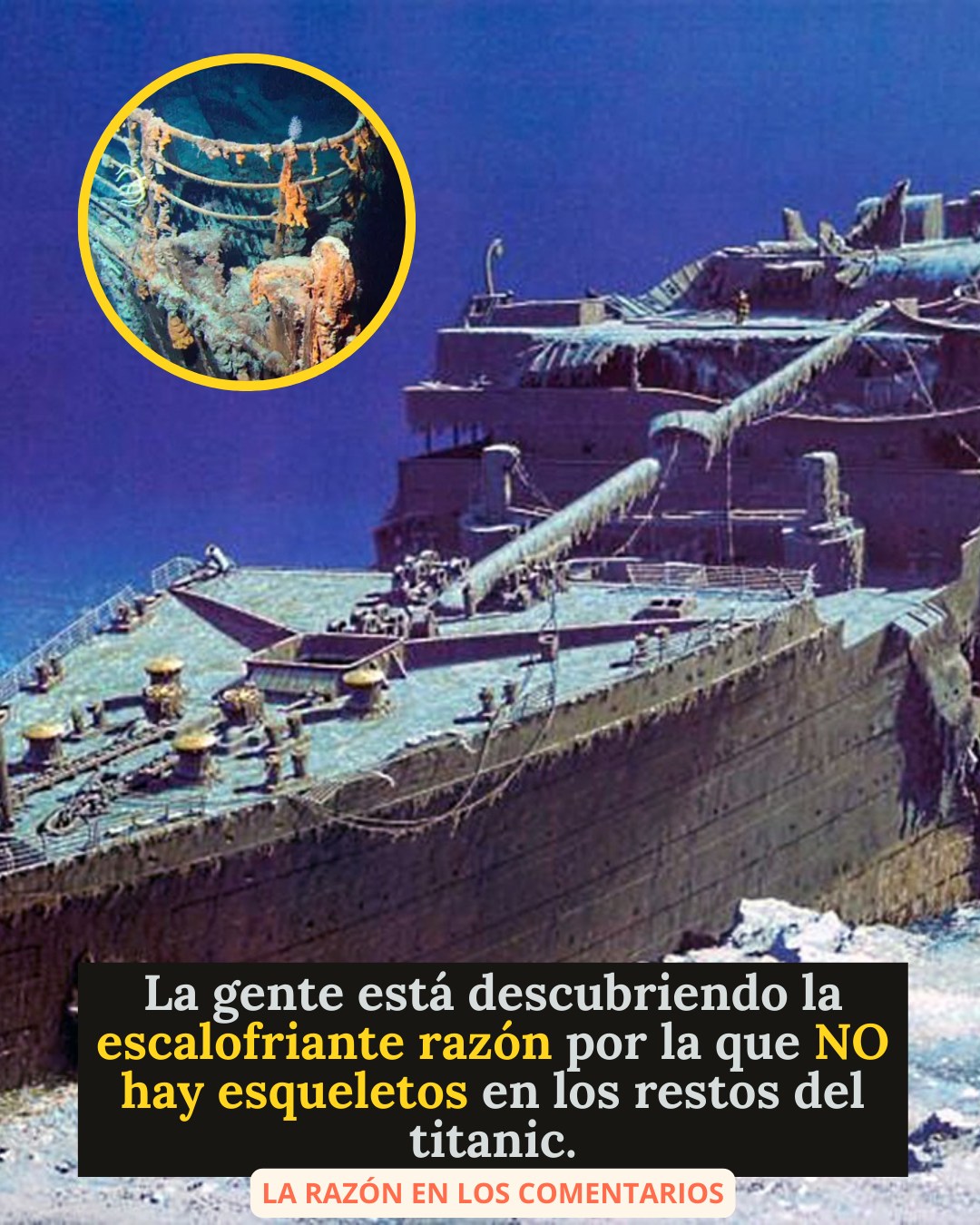 650133338 1487956429566561 903138987926695371 n