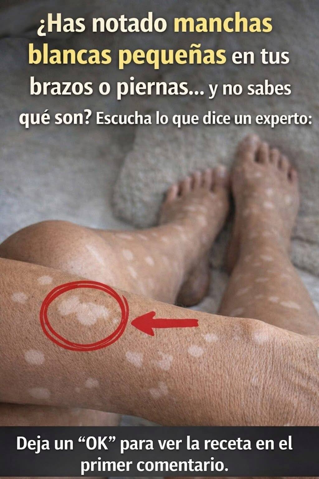 655927449 945131737929071 6361130572934666693 n