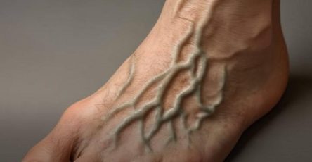 657362703 122263507760174828 4438735914548894831 n