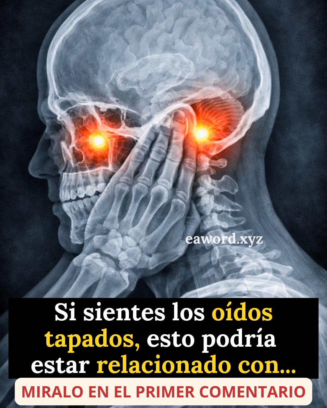 657931233 1503557874673083 7180879438350787737 n