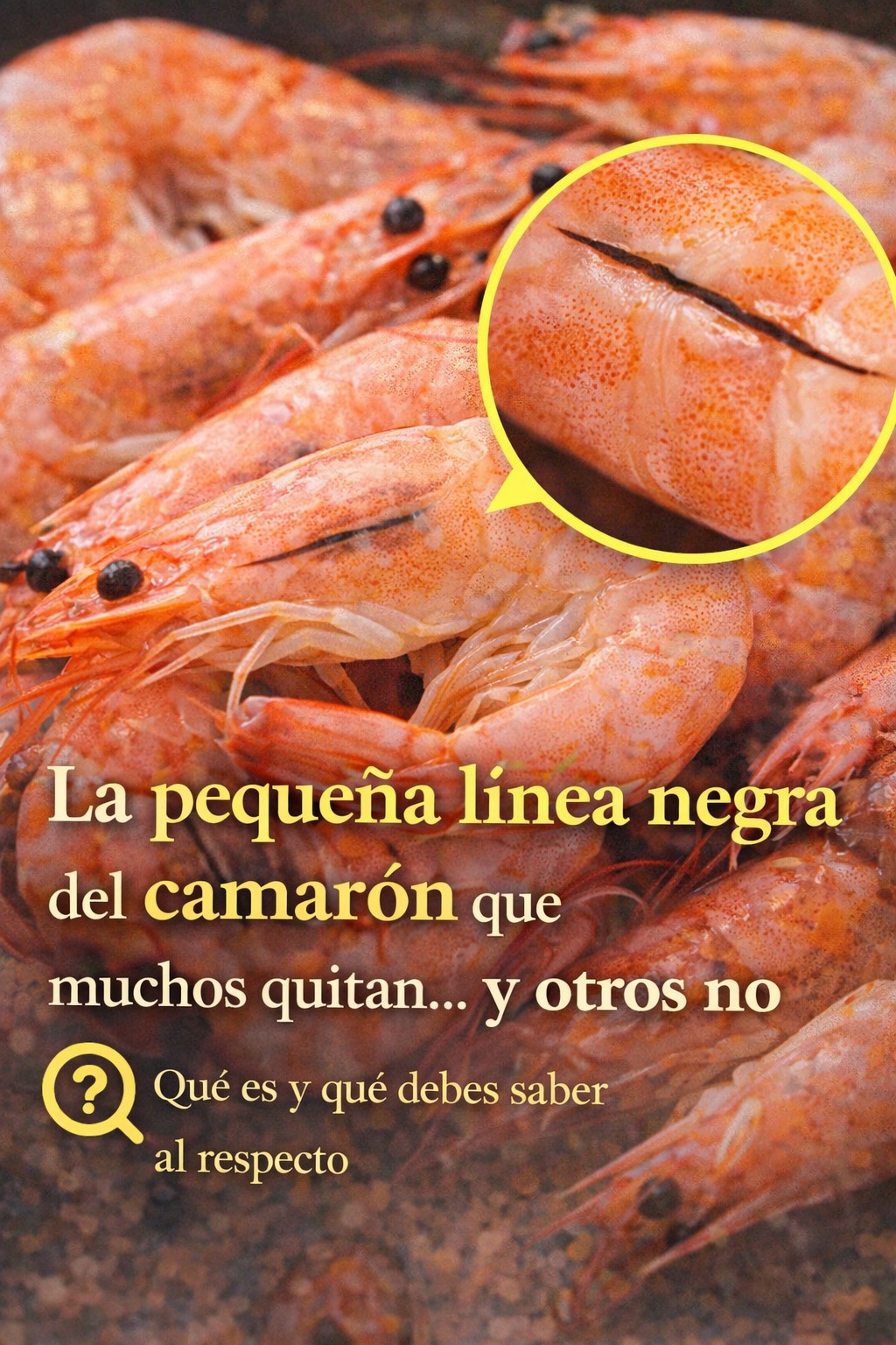 660508789 1484660373334112 2232295454234271813 n