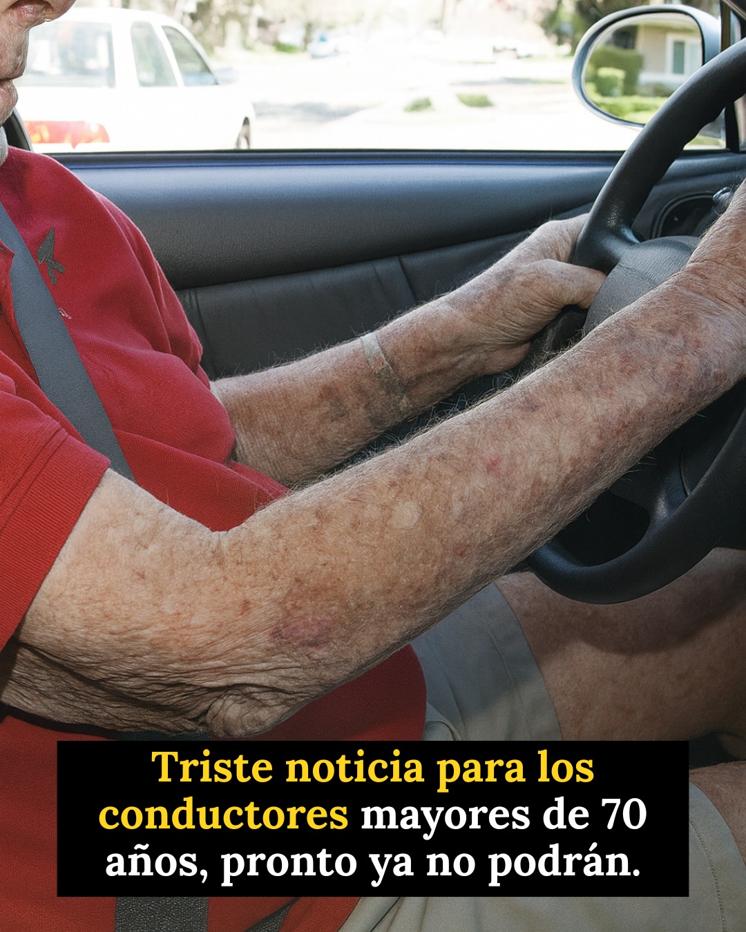 666098072 1267707095548401 4995188357593997115 n