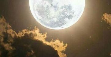 667533886 1683258429498599 8222888072485555527 n