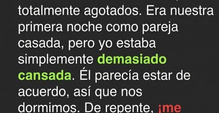 668220383 1455853609360660 4625852860409969249 n