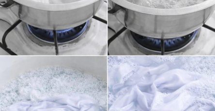 WhatsApp Image 2026 02 22 at 22.57.09